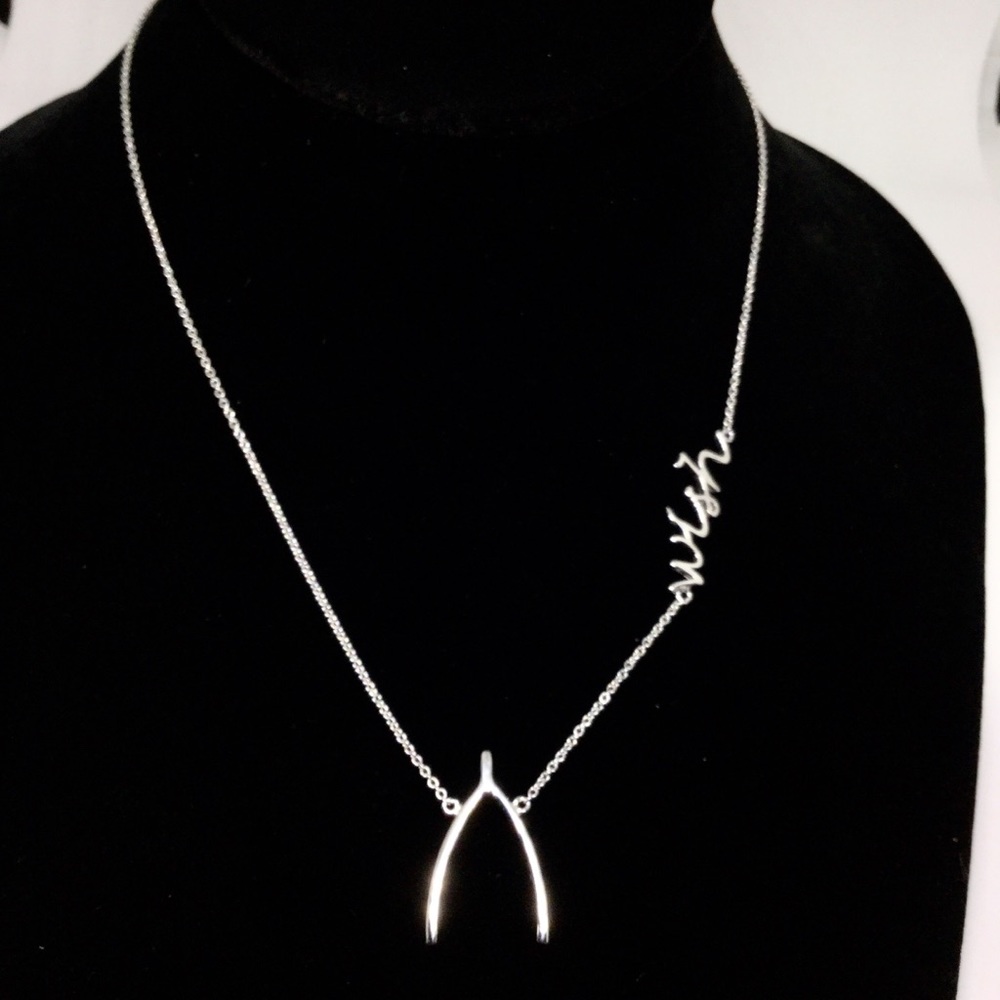 LAST❗️wishbone Necklace